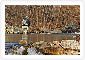 The finest fishing in Piedmont Virginia