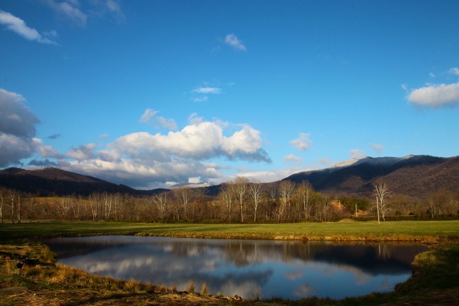 Private stocked trout and bass pond just for the cabins