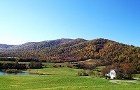 Clean water and good pasture