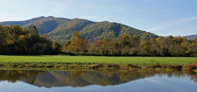 The pond and pasture at the cabins