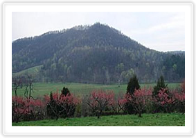 Trophy fly fishing in scenic Virginia